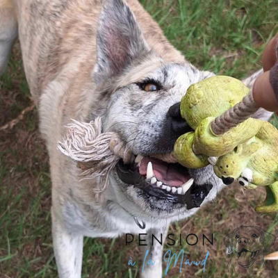 11 1