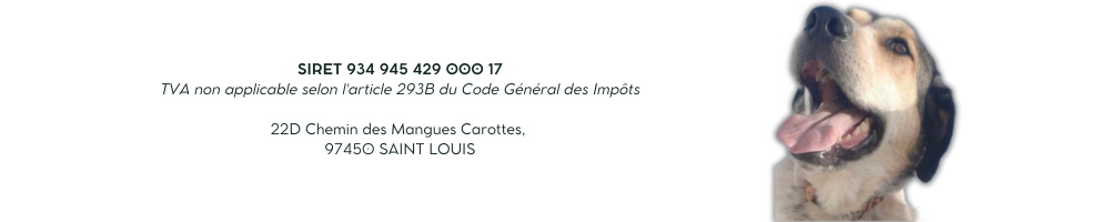 Copie de votre texte de paragraphe